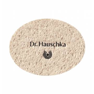 Cosmetic Sponge