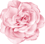 flower1