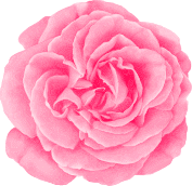 flower1